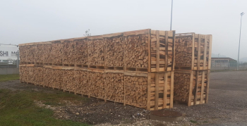 Frisches Holz eingetroffen!